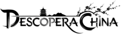Descopera China Logo